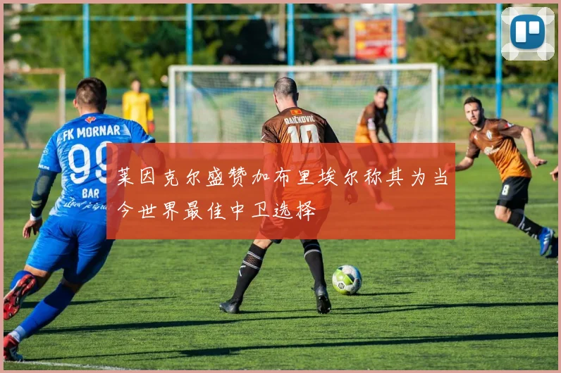 莱因克尔盛赞加布里埃尔称其为当今世界最佳中卫选择