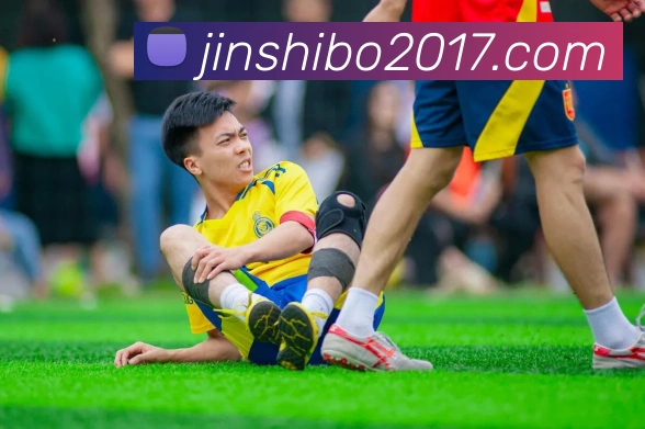 奖项证书